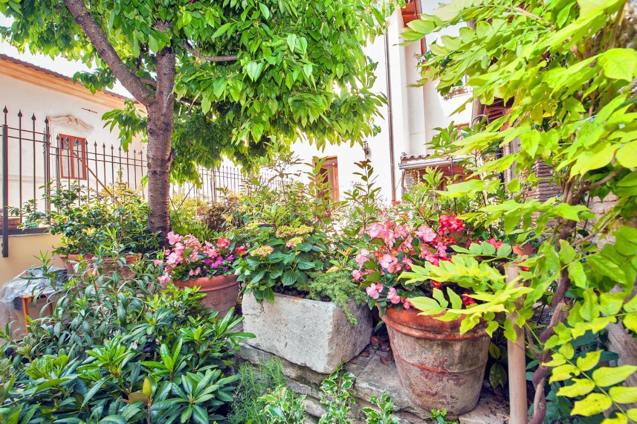 B&B Bone Novelle Dimora Storica Palazzo Zuzi L'Aquila Exterior photo